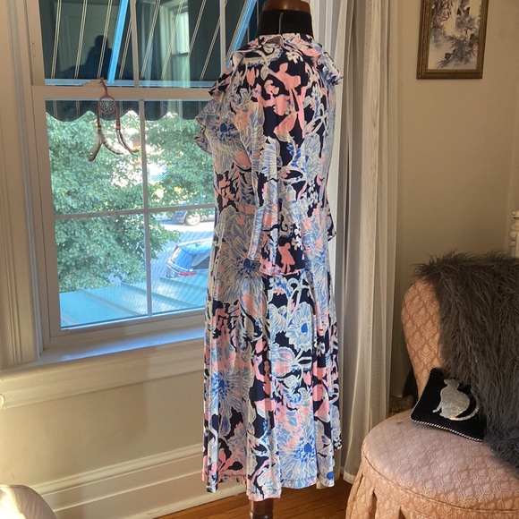 Beautiful Lilly P Dress - Picture 5 of 8